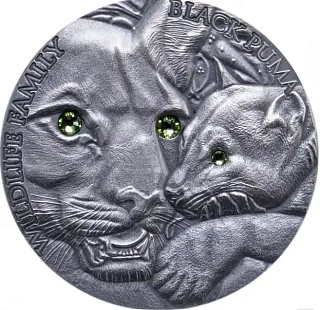 Монета "Семьи дикой природы - Черная пума", 2016 г., Серебро, 31,1 гр., проба 999, НИУЭ
