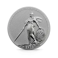 Жетон "Аллегория России 2025", -, 2025 г., 31,1 гр., проба 999, РОССИЯ