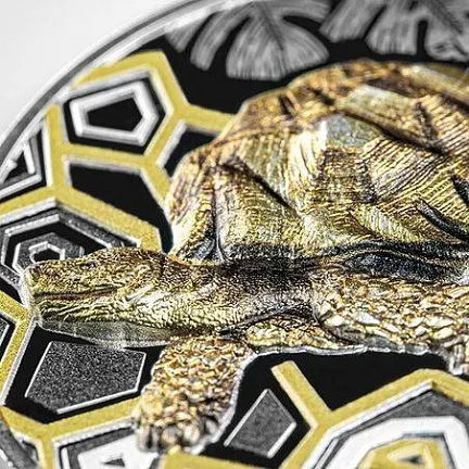 Монета "Будь сильным. Черепаха", 2022 г., Серебро, 31,1 гр., проба 999, КАМЕРУН