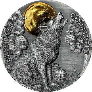 Монета "Волк", 2021 г., Серебро, 15,55 гр., проба 999, ГАНА